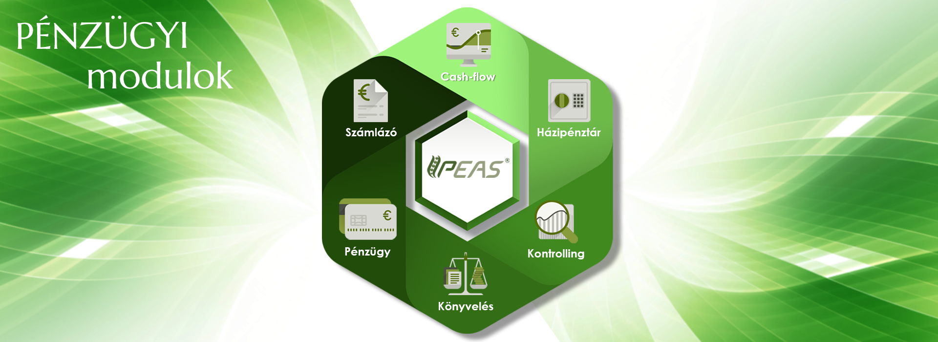 PEAS - Pénzügyi modulok