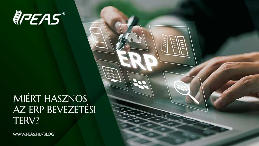vállalatirányítási rendszer - ERP bevezetés